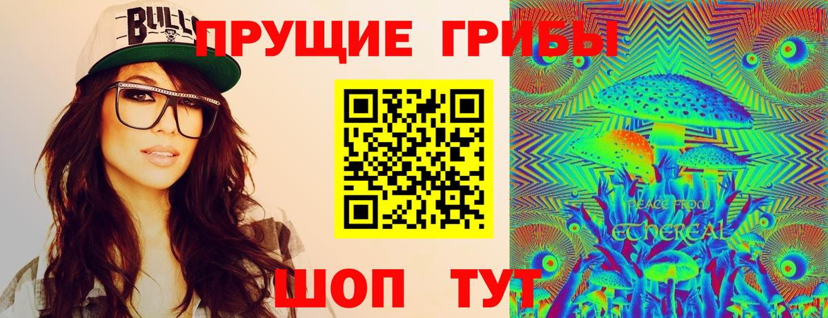 Псилоцибиновые грибы прущие грибы  Галлюциногенные грибы GOLDEN TEACHER  Шатура  Вход с VPN 