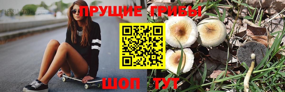 Псилоцибиновые грибы GOLDEN TEACHER Шатура